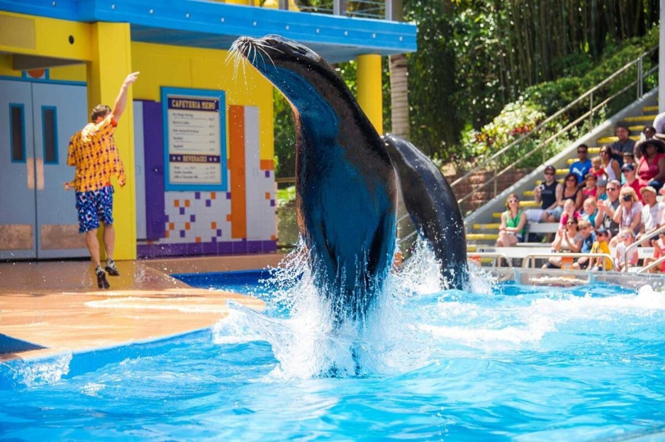 Superb House By Seaworld, Private Pool & Gameroom